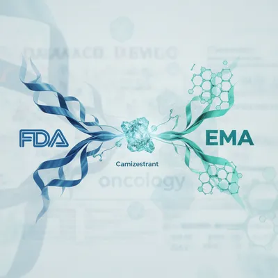 FDA vs EMA: The Camizestrant Controversy