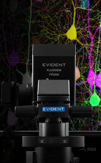 Evident Scientific logo