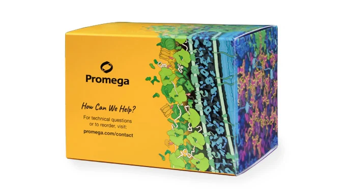Promega Corporation logo